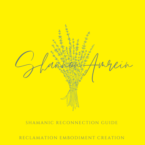 Shamanic and Akashic Healing and Biomagnetism (Shannon Amrein LLC)
